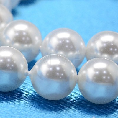 Round Shell Pearl Bead Strands X-BSHE-L011-6mm-A013-1