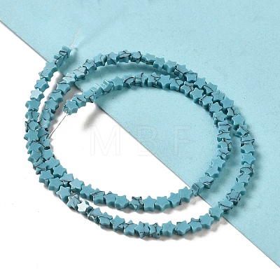 Dyed Synthetic Turquoise Beads Strands G-G085-B32-01-1