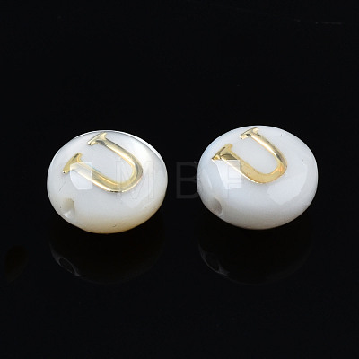 Natural Freshwater Shell Beads SHEL-S278-036U-1