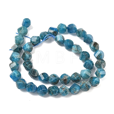 Natural Apatite Beads Strands G-C267-B08-1
