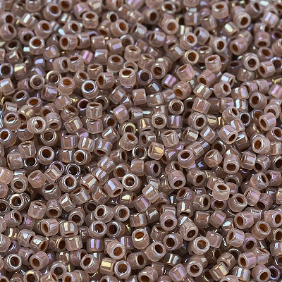 MIYUKI Delica Beads X-SEED-J020-DB1749-1