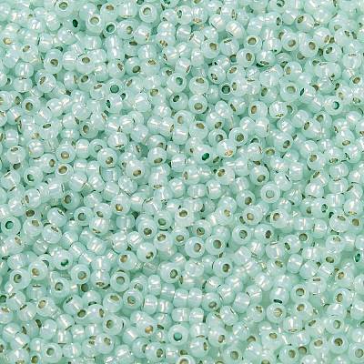 TOHO 11/0 Round Beads X-SEED-TR11-PF2118-1
