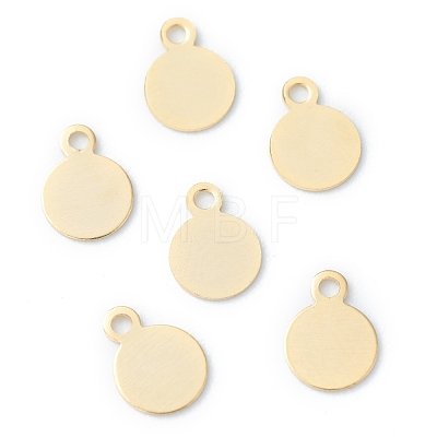 304 Stainless Steel Charms STAS-H149-04G-1