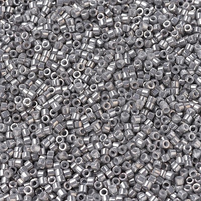 MIYUKI Delica Beads X-SEED-J020-DB0251-1