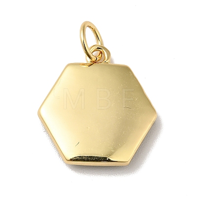 Rack Plating Brass Enamel Pendants X-KK-H431-10G-1