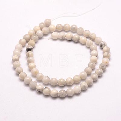 Natural Howlite Beads Strands G-E380-08-6mm-1