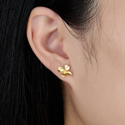 Sterling Sliver Stud Earrings for Women TG6001-1-1