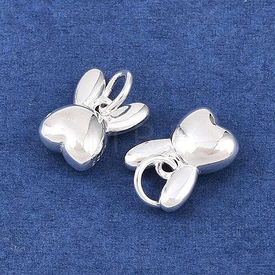 925 Sterling Silver Charms STER-I024-02S-1