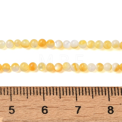 Natural Yellow Shell Beads Strands SHEL-M021-03A-1