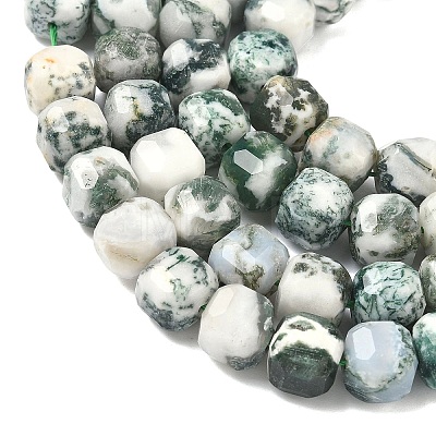 Natural Tree Agate Beads Strands G-C267-A18-1