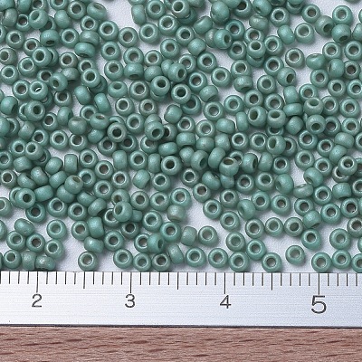 MIYUKI Round Rocailles Beads X-SEED-G007-RR2028-1