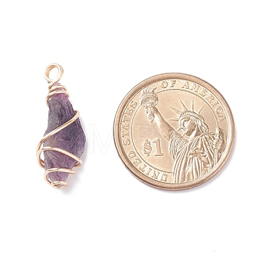 Rough Natural Amethyst Pendants PALLOY-JF01443-01-1