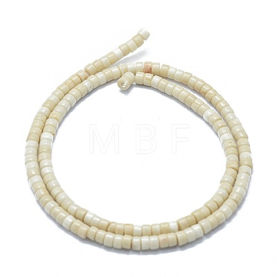 Natural Fossil Beads Strands G-F631-A19-1