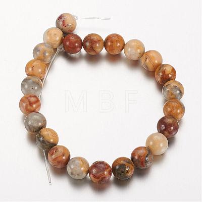 Natural Crazy Agate Round Bead Strands G-M272-03-8mm-1
