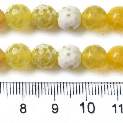 Dyed & Heated Natural Fire Crackle Agate Beads Strands G-P539-B01-18-1