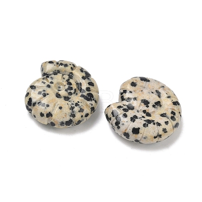 Natural Dalmatian Jasper Conch Display Decorations DJEW-D303-01N-1