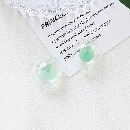 Glass Pendant INS-PW0001-13H-1