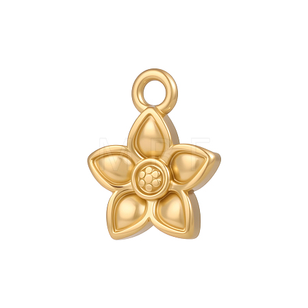 304 Stainless Steel Charms SA-OY001-49G-1