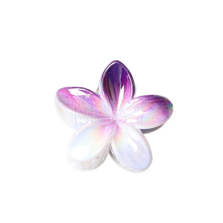 Resin Claw Hair Clips PW-WG93676-06-1