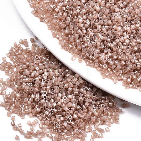 FGB 11/0 Grade A Baking Paint Glass Seed Beads X-SEED-S030-1145-1