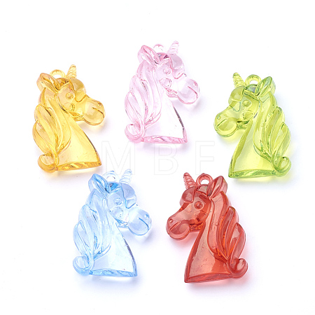 Transparent Acrylic Pendants TACR-T002-03-1