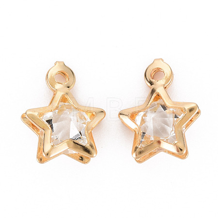 Rack Plating Eco-Friendly Iron Charms IFIN-Q133-015-NR-1