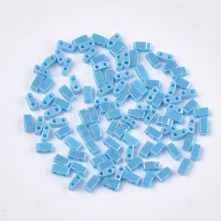 2-Hole Opaque Glass Seed Beads SEED-S023-27B-02-1