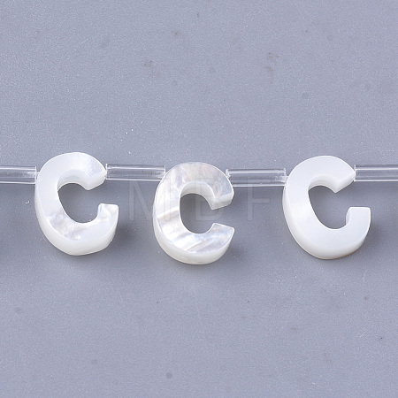 Sea Shell Beads X-SHEL-T012-60C-1