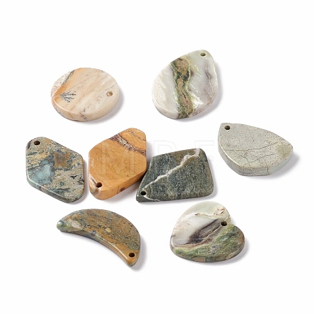 Natural Polychrome Jasper/Picasso Stone/Picasso Jasper Pendants G-B030-24-1