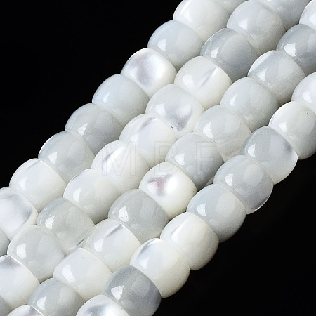 Natural Trochid Shell/Trochus Shell Beads Strands SSHEL-S266-018A-01-1