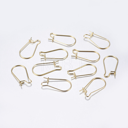 304 Stainless Steel Hoop Earrings X-STAS-L198-15B-G-1