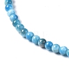 Natural Apatite Beads Strands G-I254-08H-4