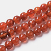 Natural Agate Beads Strands G-I261-B01-8mm-2