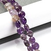 Natural Amethyst Beads Strands G-T047-A04-01-2