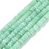 Natural Freshwater Shell Beads Strands SHEL-Q028-01F-1