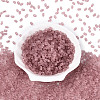 FGB Frosted Transparent Glass Seed Beads SEED-N013-06A-06-2