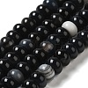 Natural Black Agate Beads Strands G-H295-C03-06-1