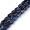 Natural Sodalite Beads Strands G-C080-B05-01A-1