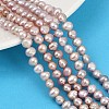 Natural Cultured Freshwater Pearl Beads Strands PEAR-P064-19E-04B-1