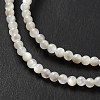 Natural White Shell Beads Strands SHEL-G014-14-4