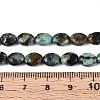Natural African Turquoise(Jasper) Beads Strands G-T142-28-5