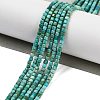 Natural HuBei Turquoise Beads Strands G-H042-B34-01-2