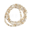Natural Freshwater Shell Beads Strands BSHE-H109-13A-3