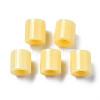 PE Fuse Beads X-DIY-R013-A19-3