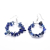 Natural Lapis Lazuli Dangle Earrings EJEW-E255-D03-2
