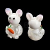 Handmade Lampwork Beads Strands LAMP-A005-02-4