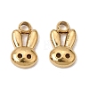 304 Stainless Steel Charms SA-CBABF3F-13G-07-1