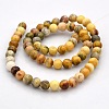 Natural Crazy Lace Agate Round Beads Strands G-N0120-16-6mm-2