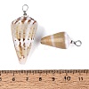 Brass & Natural Cone Shell Pendants SHEL-Q029-20-01P-3