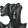 Natural Abalone Shell/Paua Shell Dangle Earrings EJEW-JE07434-01-2